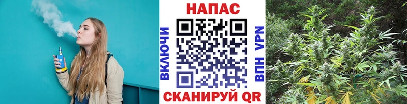 Что такое Серов МАРИХУАНА  Псилоцибиновые грибы  Амфетамин  Гашиш  Кокаин 