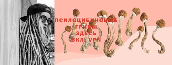 mdpv Алзамай