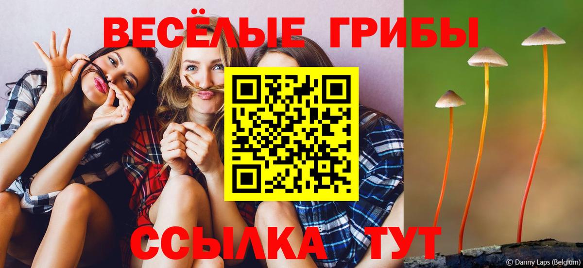 где купить наркоту  Вход с VPN  Серов  Псилоцибиновые грибы MAGIC MUSHROOMS 